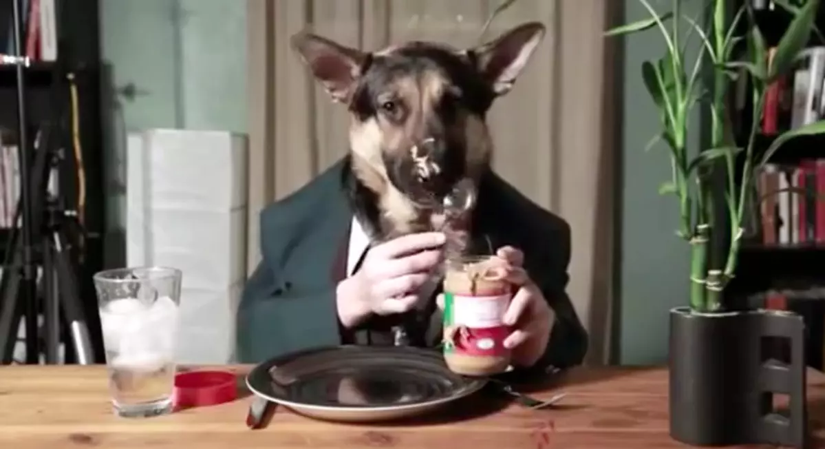 This Suit-Wearing Dog Eating Peanut Butter is Hilarious [VIDEO]