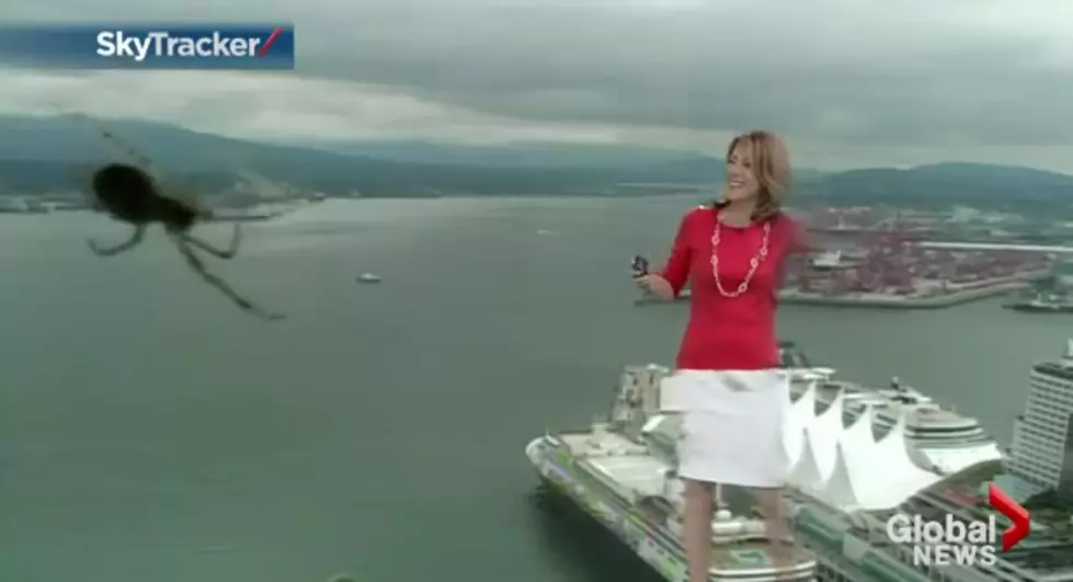 Weather Woman Scared by Large Spider [VIDEO]