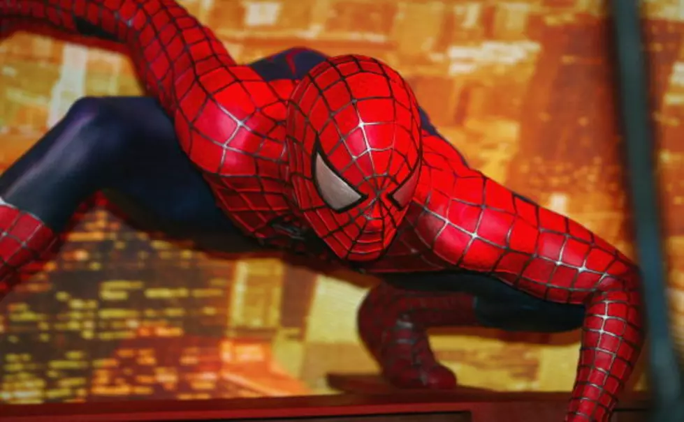 Vandalism Suspect Arrested Wearing Only Spider-Man Underwear