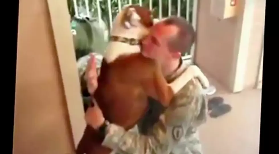 Furry Friend Friday – Welcoming Our Soldiers Home [VIDEO]