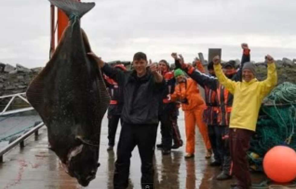 Fisherman from Norway May Have Caught New World Record Halibut [VIDEO]