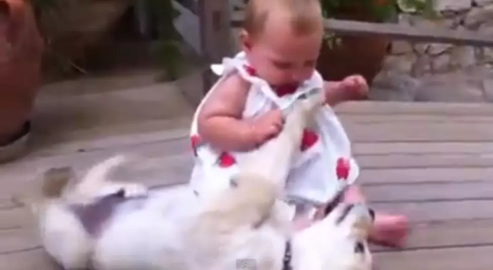 Time for Two of  the Cutest Things in the World: Babies and Puppies [VIDEO]