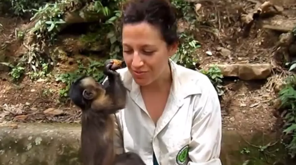 Furry Friend Friday – Monkey See, Monkey Do [VIDEO]
