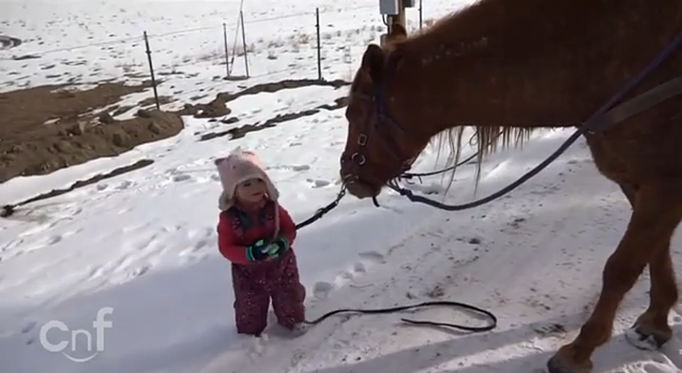 Precious Two-Year Old Emma Walks Her Horse [VIDEO]