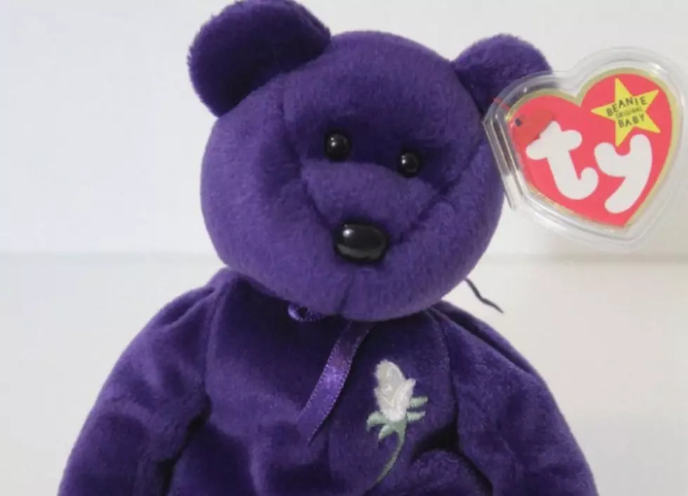Need a New House? Sell a Beanie Baby