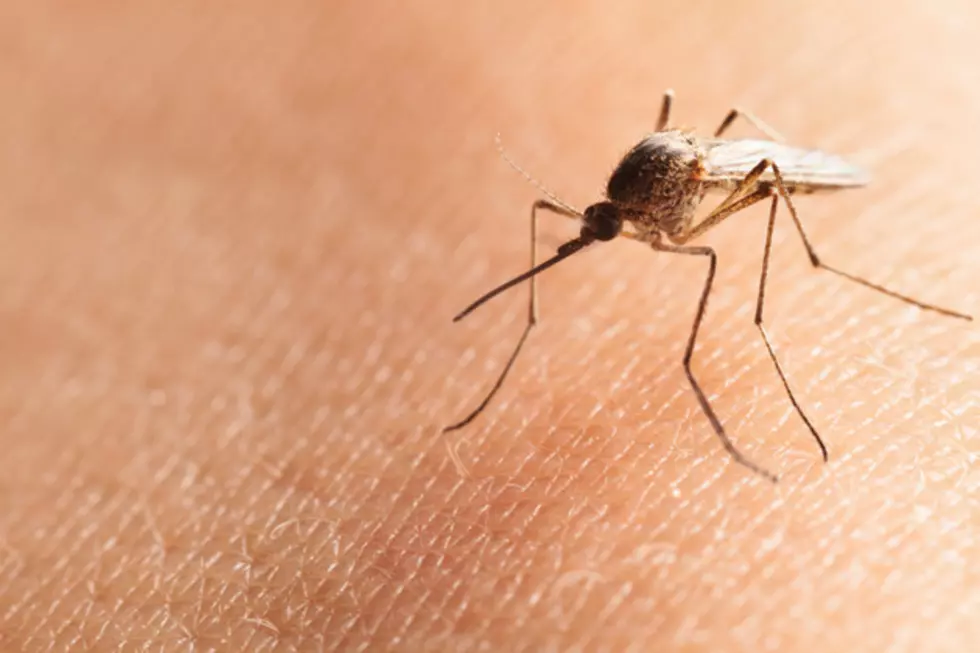 Mosquitos in East Texas Test Postive for West Nile