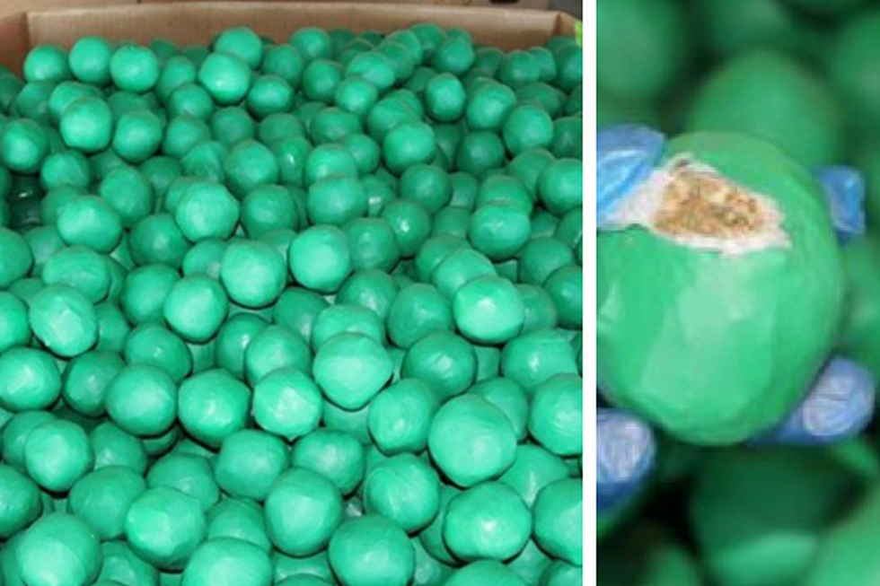 Almost Two Tons of Weed  Stuffed in ‘Limes’ Discovered by Border Officers