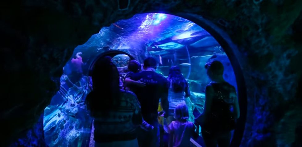 New Legoland and Aquarium Set to Open in San Antonio in 2018
