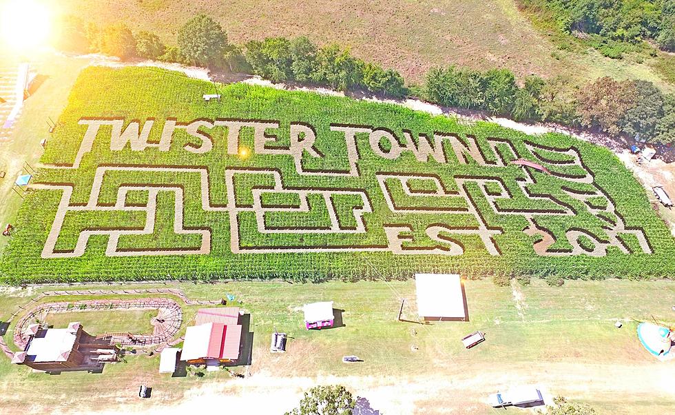 This Year&#8217;s 5 Most Creative Corn Mazes in Texas