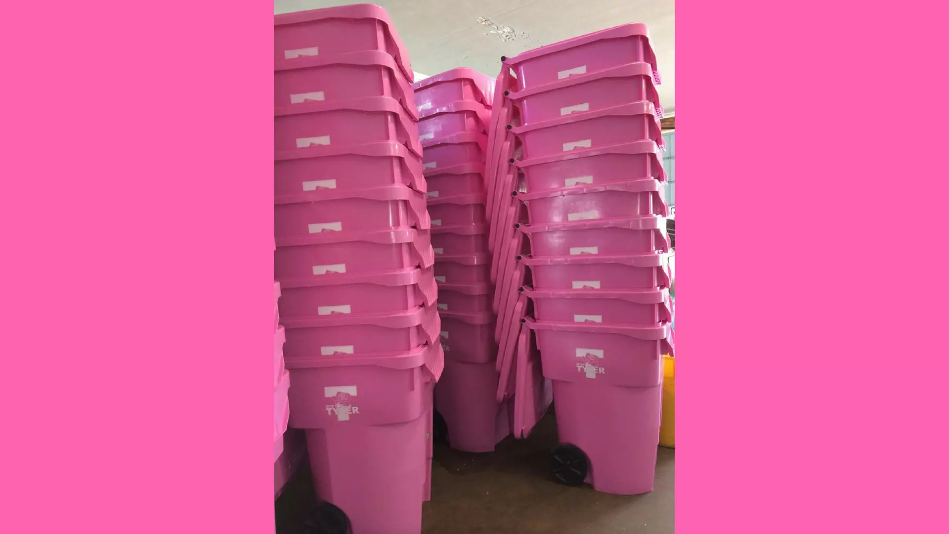 City's sale of pink garbage cans will promote breast cancer awareness, Local News