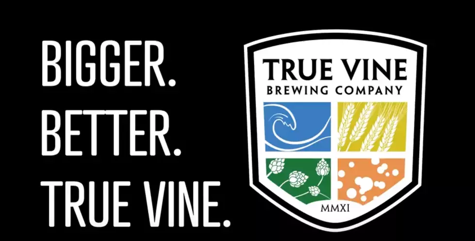 True Vine Announced Their New Location Will Have a Dog Park… Oh and More Beer!
