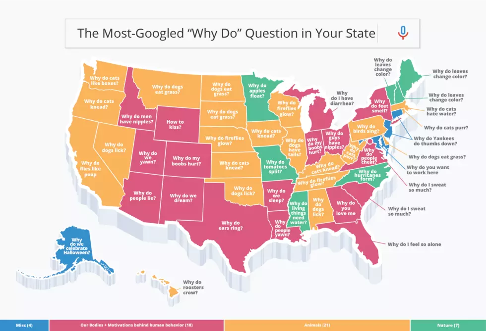 Do You Know the Answer to Texas’ Most Googled ‘Why-Do’ Question?