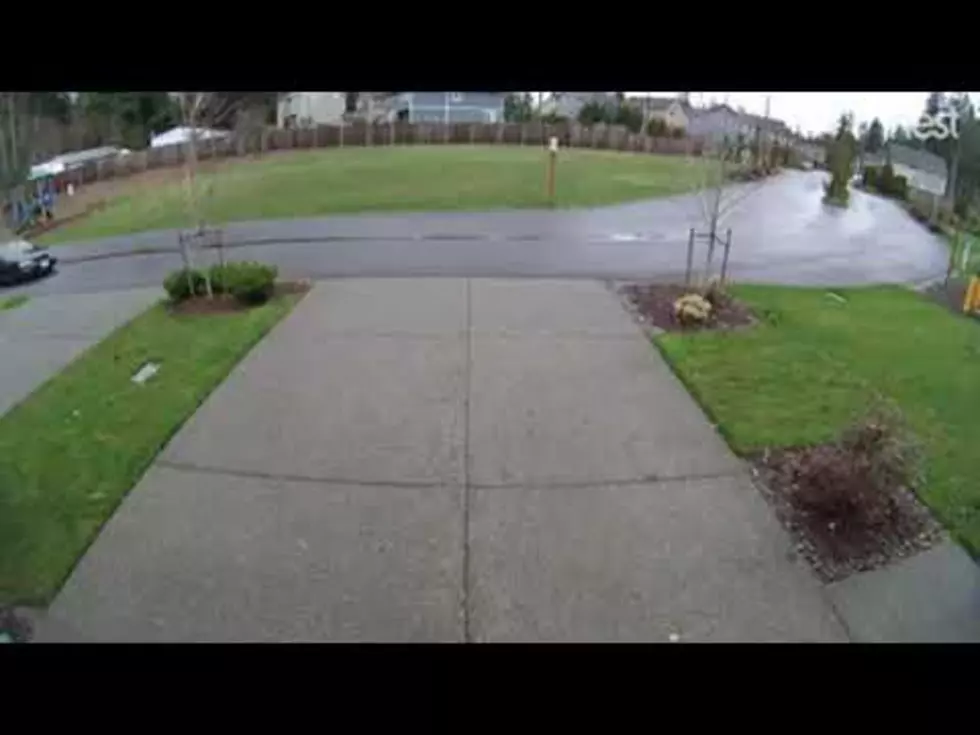 Washington Porch Pirate Who Took Bad Fall Has Been Arrested
