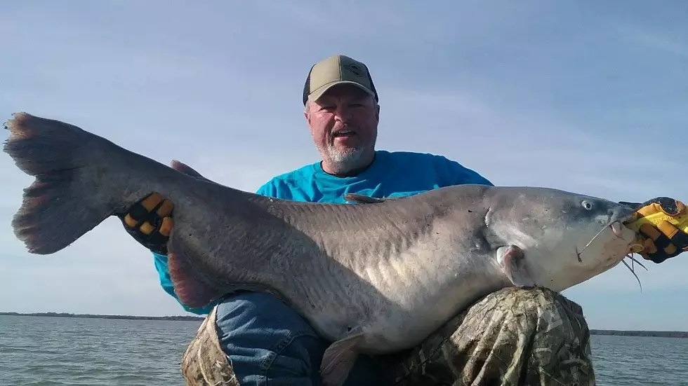 73 Pound Catfish Caught on East Texas Lake