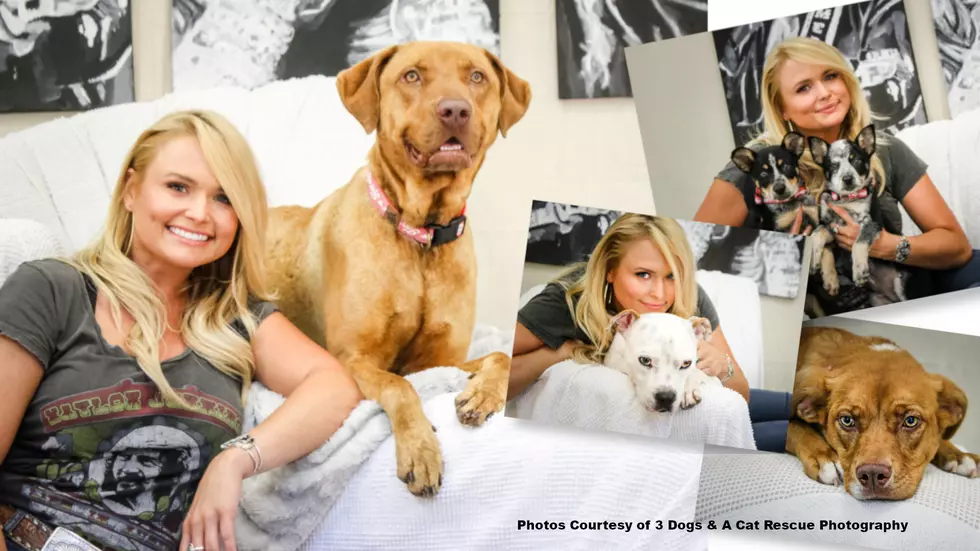 2 ETX Natives Helped Miranda Lambert Showcase Rescue Pups At CMA