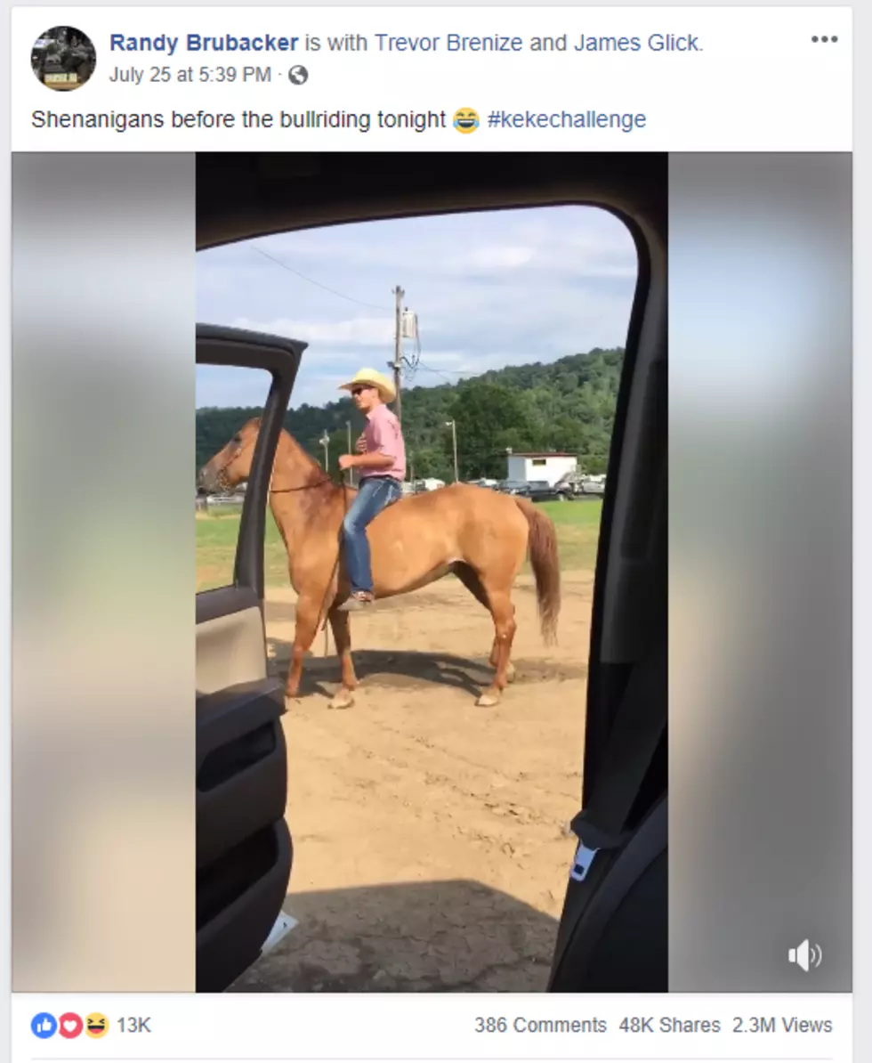 Get A Load Of This! Horse, Rider Dance The #InMyFeelingsChallenge