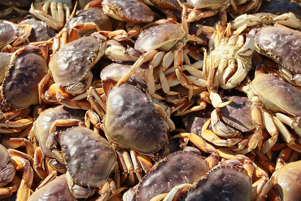Brawl Breaks Out in Alabama over Crab Legs