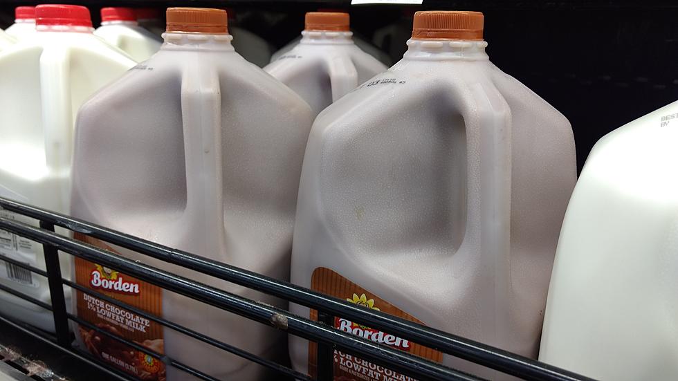 Oh Boy. Seven Percent of Americans think Chocolate Milk Comes from Brown Cows