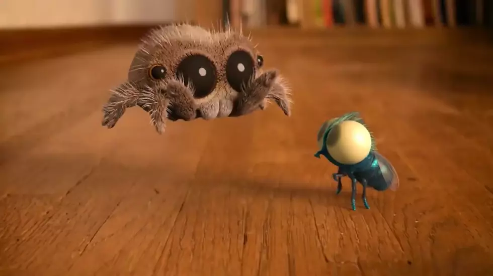 If You&#8217;re Not Following Lucas The Spider on Youtube, You Should