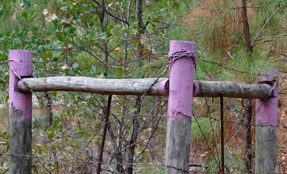 A Purple Fence Post In Texas Could Get You An Orange Jumpsuit