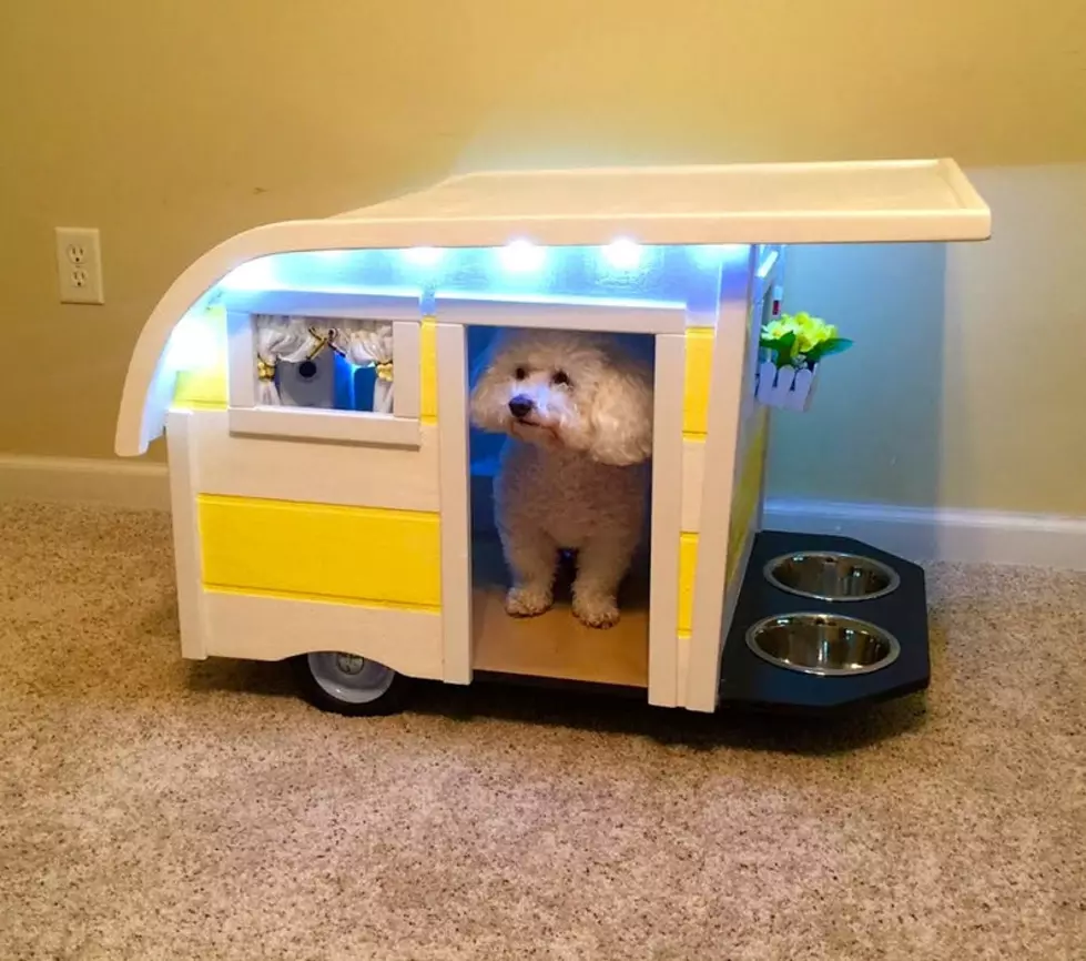 Your Dog Can Have Their Own &#8216;Winnebarko&#8217;, And I&#8217;m Here For It