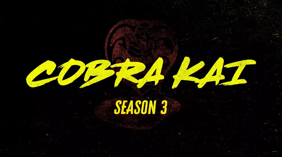 Cobra Kai Season Three Trailer Made Me Scream with Excitement