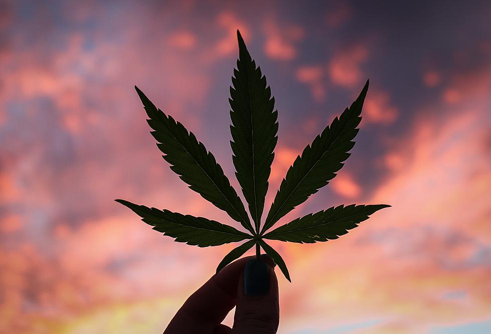 [WATCH]: Should We Legalize Marijuana in Texas?