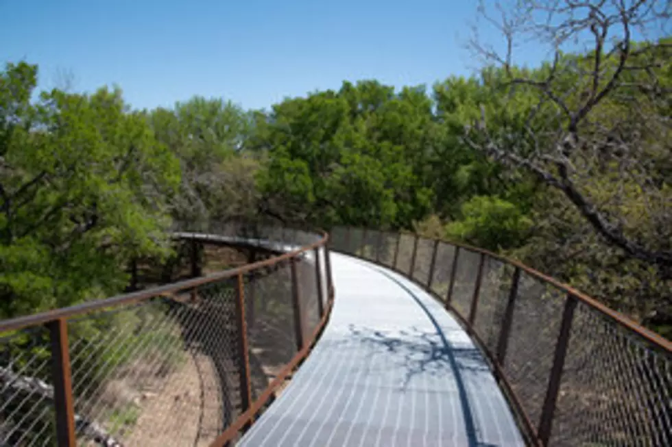 Texas Road Trip? San Antonio Park’s New Skywalk is Now Open!