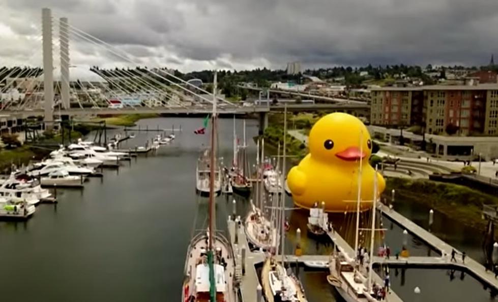 The World’s Largest Rubber Duck is Coming to Texas, But Why?