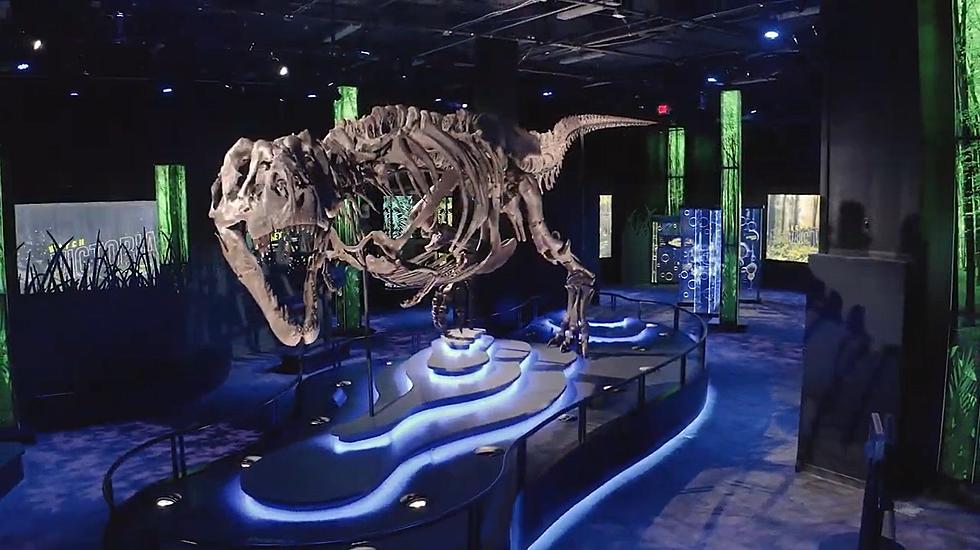 If Your Kids Love Dinosaurs, Take them to Houston to See Victoria