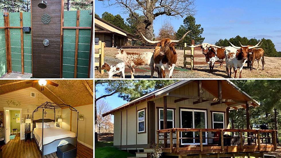 5 Star Gilmer Airbnb Perfect for a Couple and Longhorn Watching