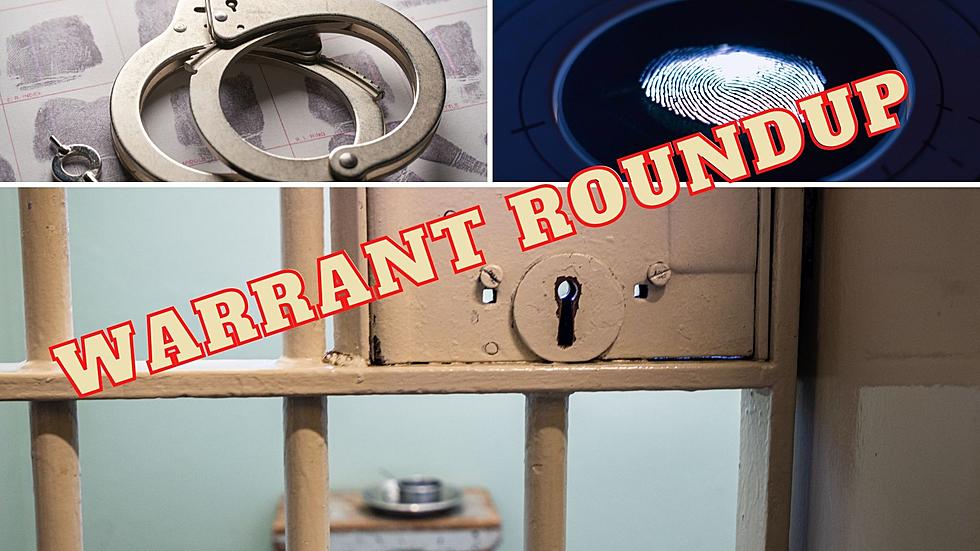 Warrant Roundup 2025 List