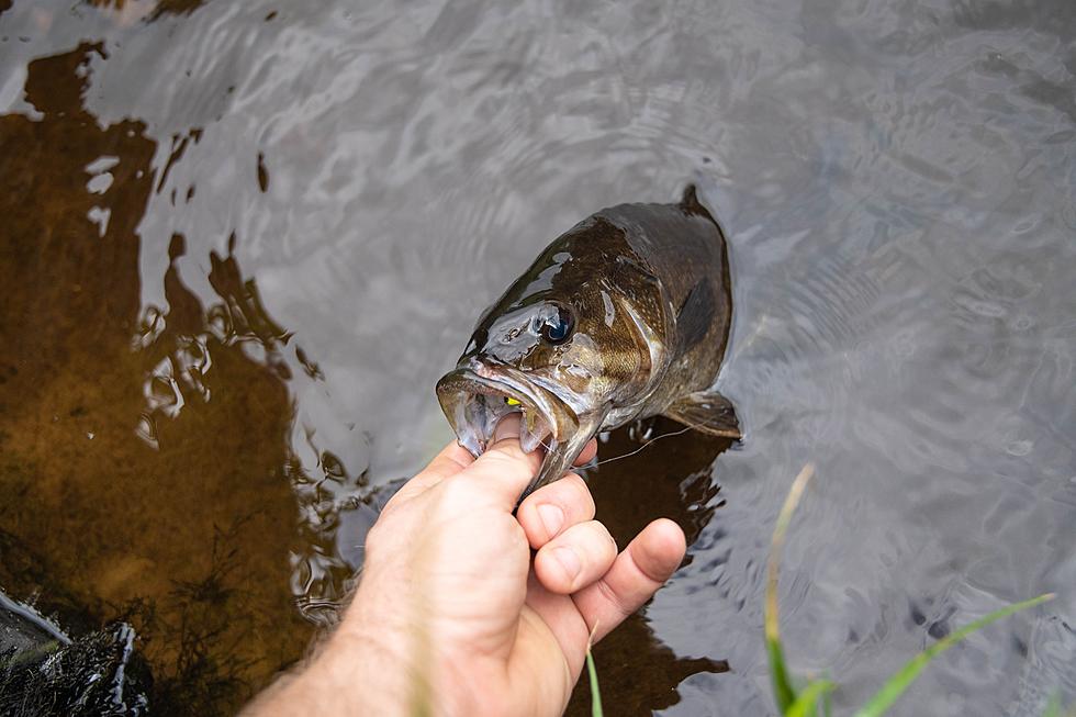 Catch Big Bass on Two East Texas Lakes for 2022's Bass Pro Tour