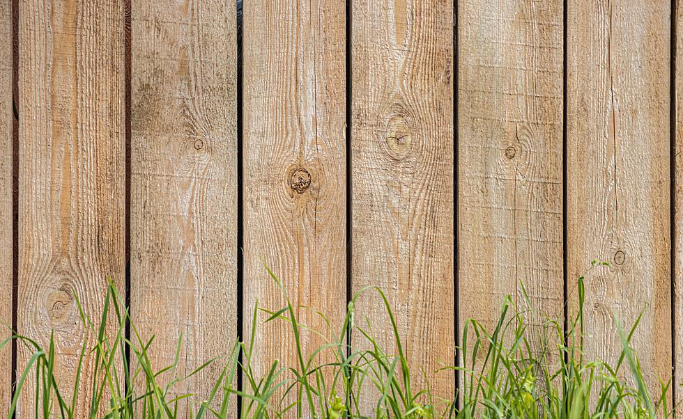 An Open Letter to the Person With a Compost Pile on The Backside of My Fence