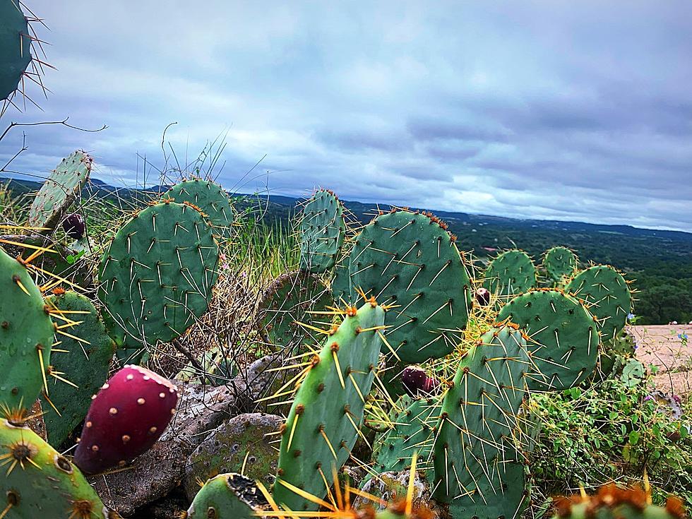 Ready for a Super Fun Road Trip? Here’s a Texas Hill Country Itinerary