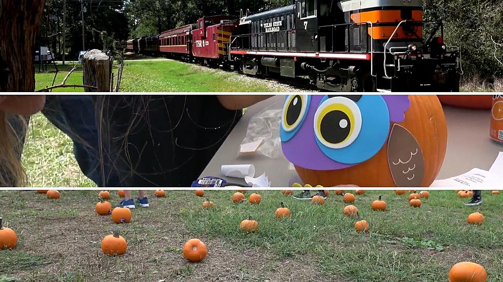 Take a Fall Adventure with the Family on the Texas State Railroad