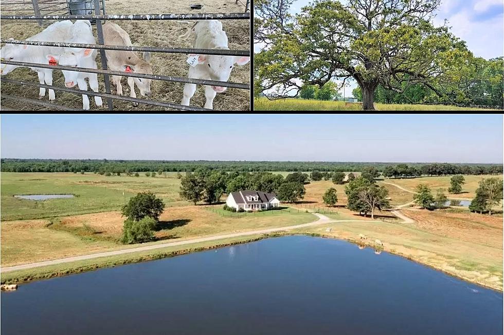 Absolute Privacy on Over 4,000 Acres Currently For Sale in Texas