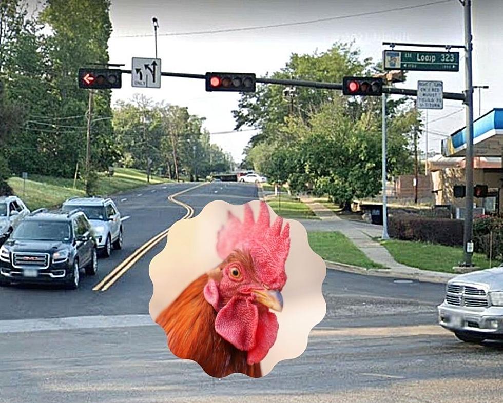 But WHY are There Chickens Running Wild on Loop 323 in Tyler, Texas?