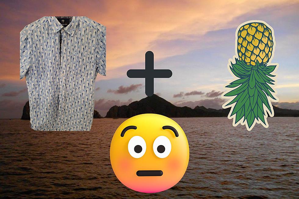 My Pineapple Shirt Was My Favorite, Others Thought It Meant Swinging