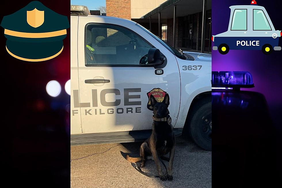 K-9 Drogon in Kilgore, TX Gets Another Gun and More Drugs Off the Streets