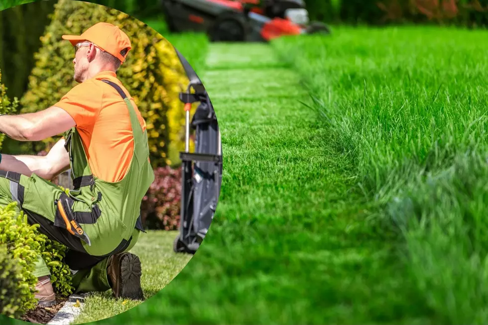 List of 15 Recommended Lawn Professionals in Tyler, Texas