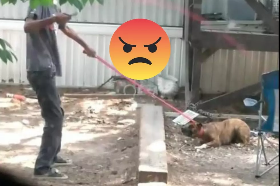 ETX Man Arrested for Animal Cruelty After This Video Went Viral
