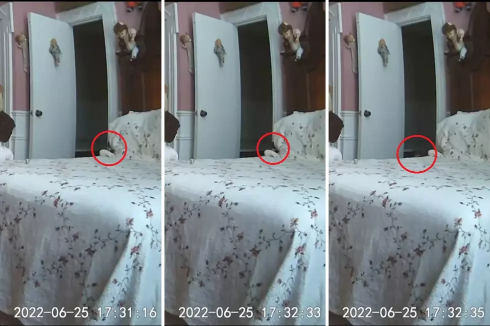 Doll Caught on Video Moving and Falling on it&#8217;s Own at Jefferson Hotel