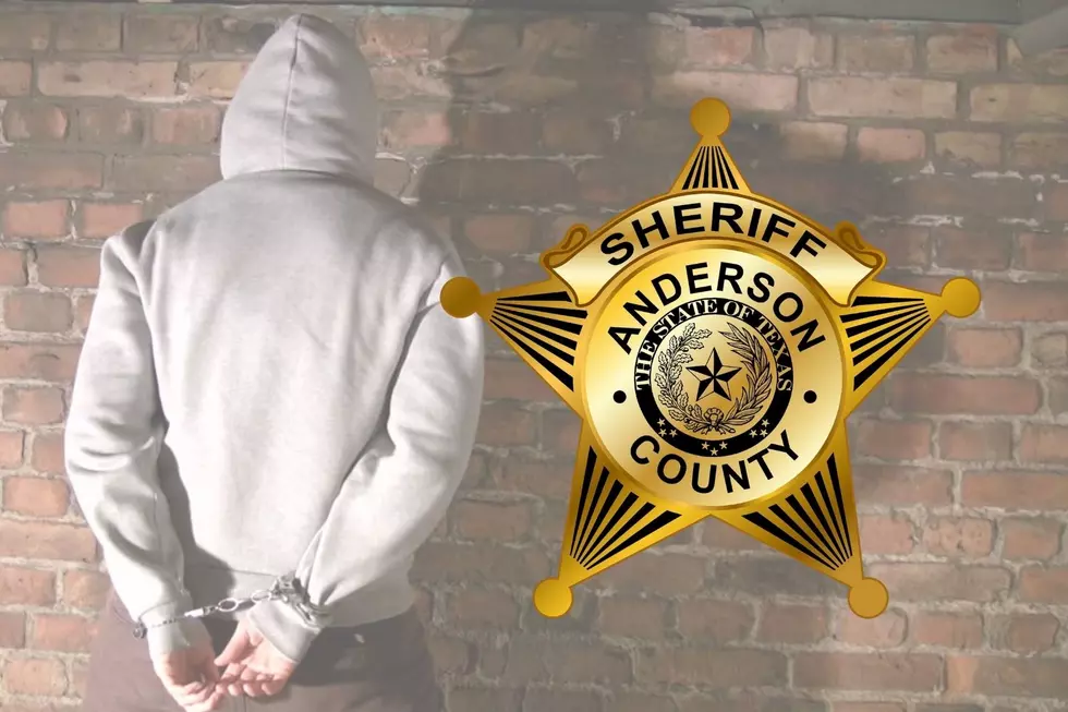 13 Out Of 20 Arrested In Anderson County Were Felony Arrests Last Week