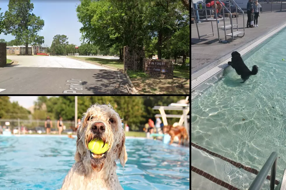 Fun! It’s PAWCHELLA a Party for Dogs Taking Place in Tyler, Texas