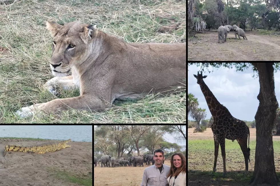 Back in Texas After An Epic Adventure on Safari in Africa