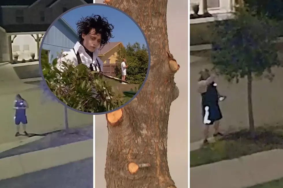 North Texas Man Dubbed Edward Scissorhands For Unwanted Tree Trimming at 3 a.m.