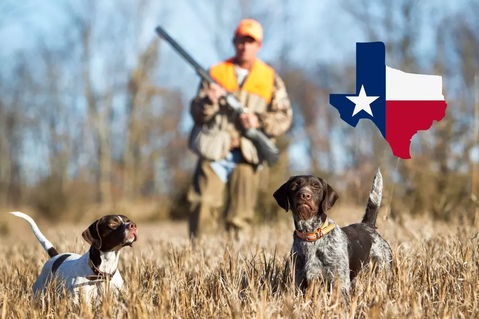 Are These the 5 BEST Public Hunting Areas in Texas? This Man Says &#8216;YES&#8217;