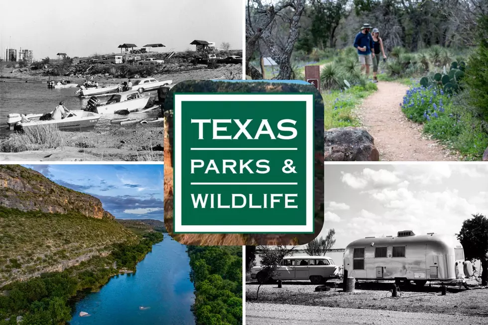 Texas Parks Celebrating 100 Years Including Tyler State Park