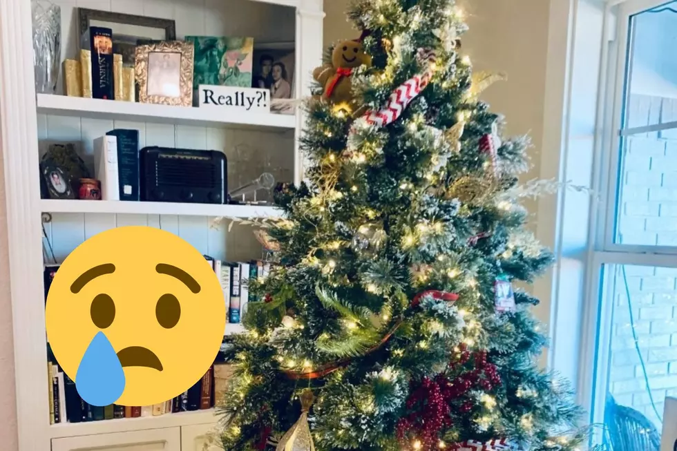 Confession: I Don&#8217;t Want to Take Down My Tree Quite Yet&#8211;Here&#8217;s Why